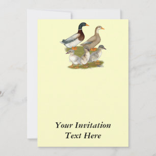 Invitation Famille de canards de Saxe