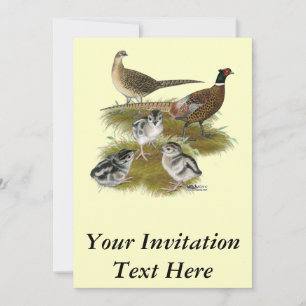 Invitation Famille Pheasant Ringneck