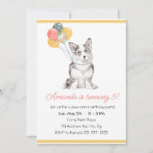 Fête d'anniversaire de chiot Corgi mignon