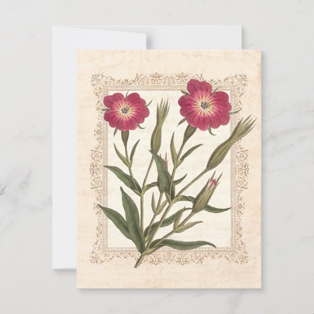 Invitation Fête d'anniversaire des 50 ans de la dame de jardi (Devant)