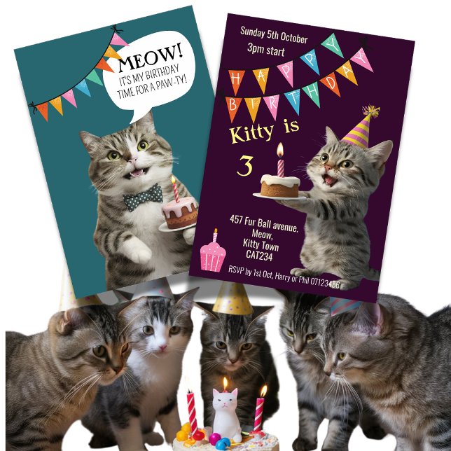 Invitation Fête d'anniversaire du chat fête du chaton Invitat (Créateur téléchargé)