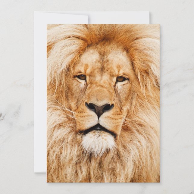 Invitation Fête d'anniversaire du lion (Devant)