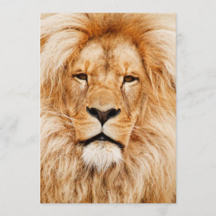 Invitation Fête d'anniversaire du lion