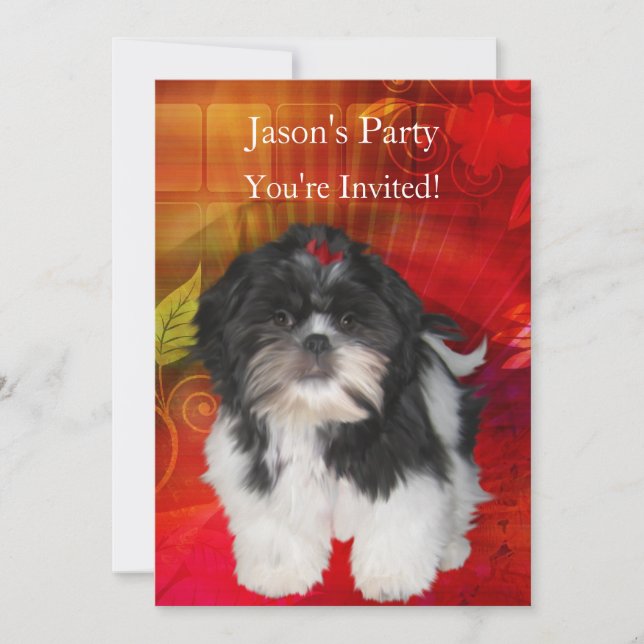 Invitation fête d'anniversaire Shih Tzu sur Abstra (Devant)