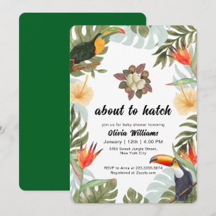 Invitation Fête de Bébé Tropicale Oiseaux Sauvages à l'approc