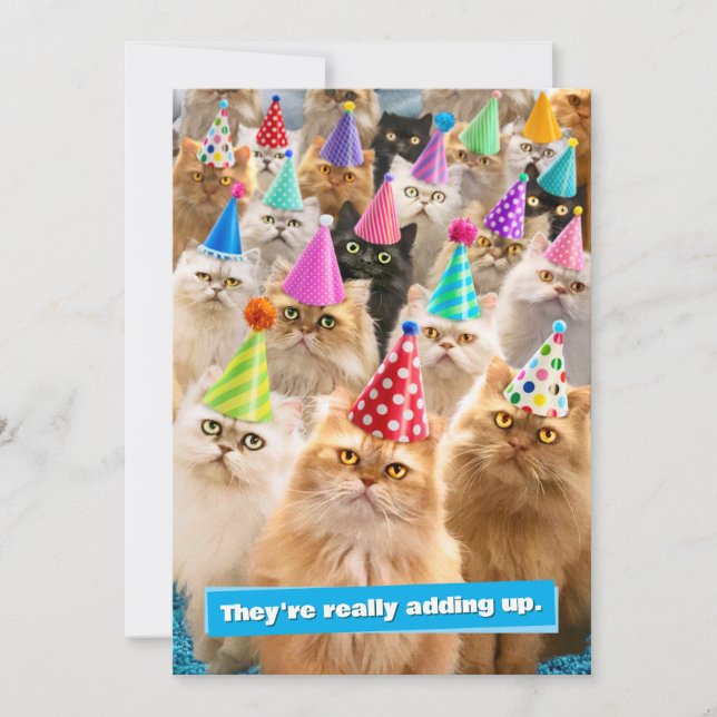 Invitation Fête de chats (Devant)