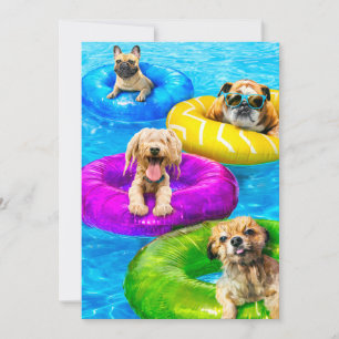 Invitation Fête de chien à la piscine