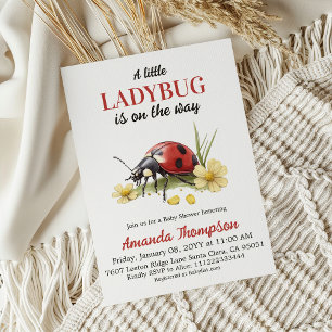 Invitation Fête de naissance de la petite coccinelle de la ma