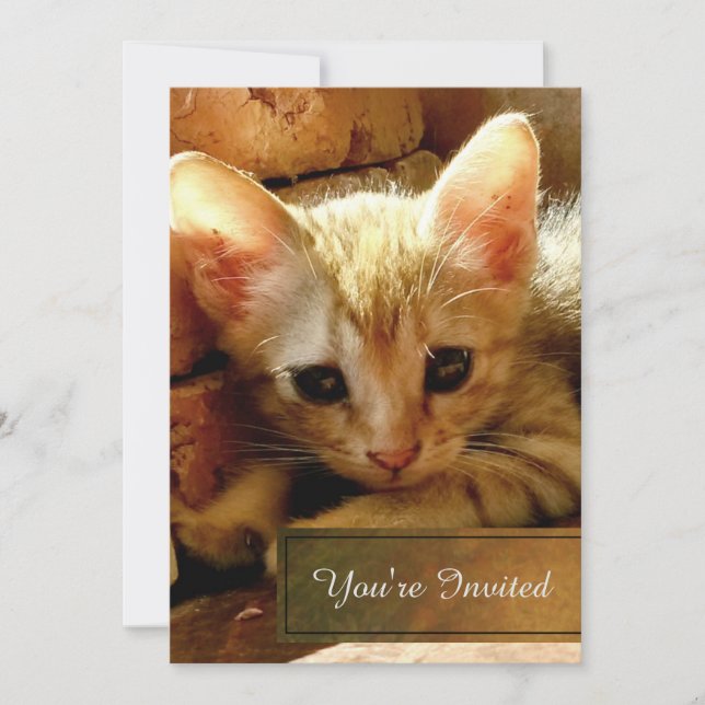 Invitation Fête de Petit Chat Mignon (Devant)