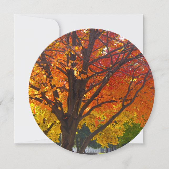 Invitation Feuilles d'automne Jaune et Orange (Devant)