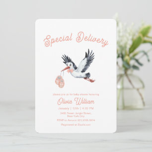 Invitation Fille Livraison Spéciale Vintage Cigogne Baby Show