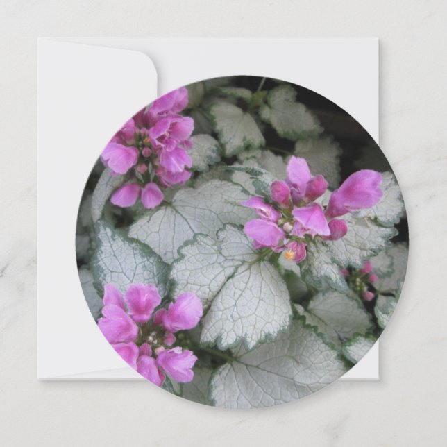 Invitation Fleur de Lamium Maculatum (Devant)