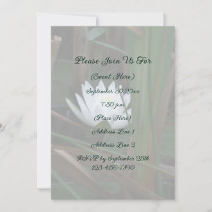 Invitation Fleur de Lotus Nénuphar