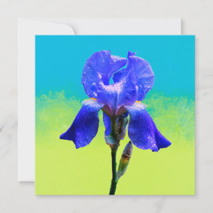 Invitation Fleur d'iris 