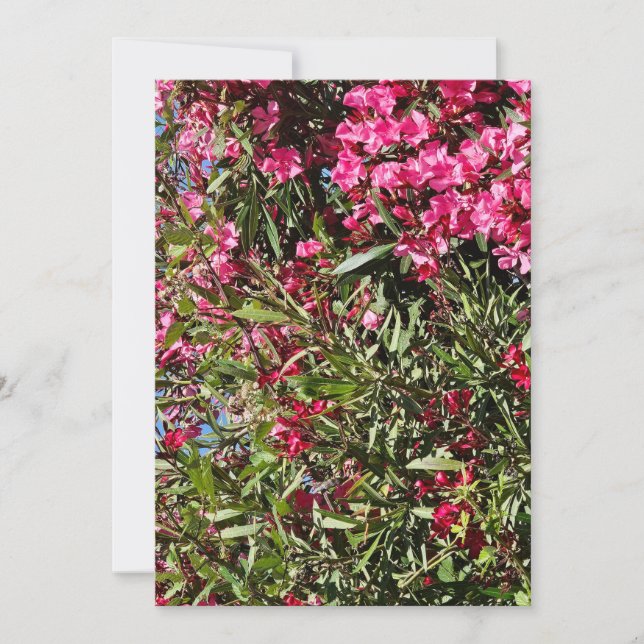 Invitation Fleur rose (Devant)