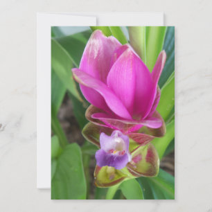 Invitation Fleur Turmeric rose et violet sur une photo