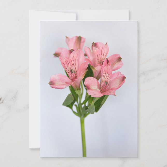 Invitation Fleurs d'Alstroemeria (Devant)