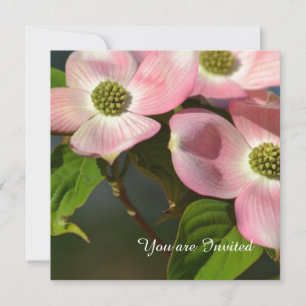 Invitation Fleurs de Dogwood Rose Anniversaire