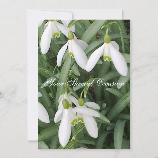 Invitation Fleurs de Neige (Devant)