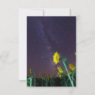 Invitation Fleurs de soleil