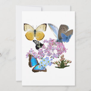 Invitation Fleurs et papillons : un nouveau bigGENCE