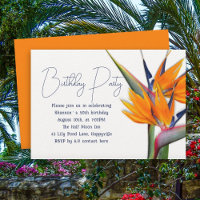Fleurs orange de l'oiseau de paradis pour annivers