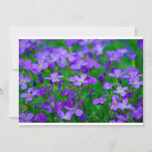 Invitation Fleurs Violettes