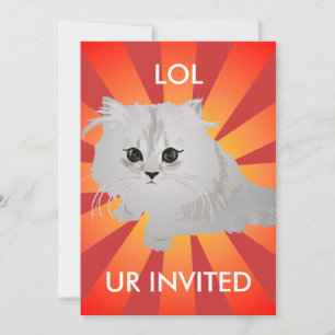 Invitation Fluffy Kitten