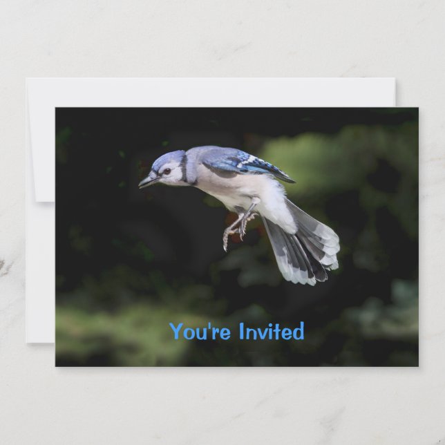 Invitation Flying Blue Jay (Devant)
