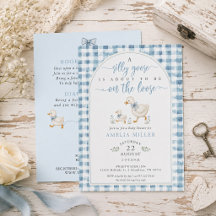 Folle oie en liberté Baby Shower Bleu Gingham