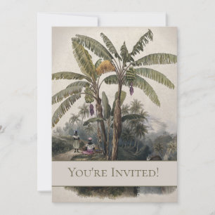Invitation Forêt de bananiers tropicaux antiques Bota vinta