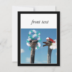 Invitation Fou Casquette Day aux courses