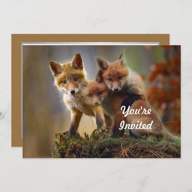 Invitation Fox Kits Photo Anniversaire (Devant / Derrière)