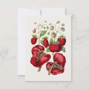 Invitation Fraise vintage