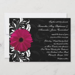 Invitation Fuchsia Scroll Gerbera Daisy avec noir et blanc