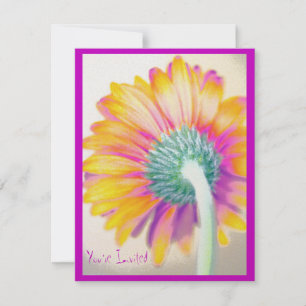 Invitation Funky Gerbera