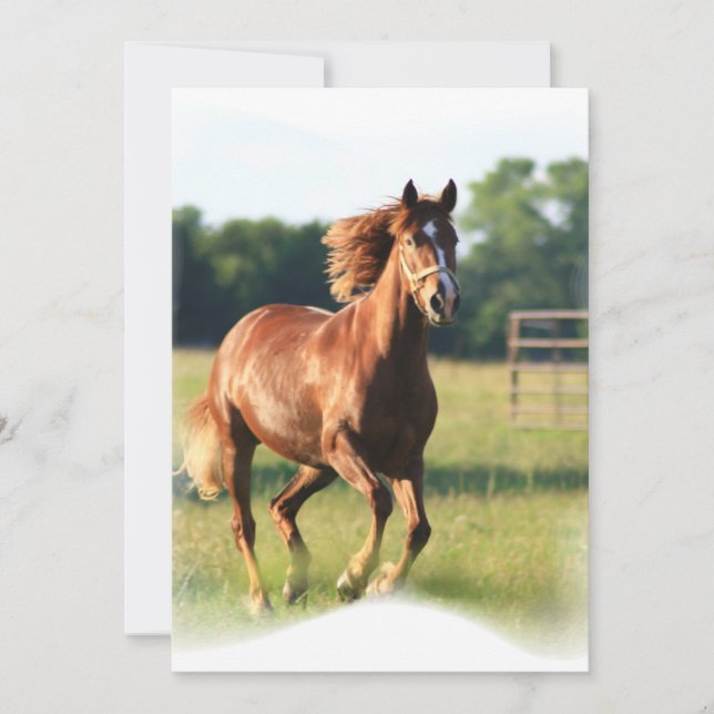 Invitation galopante de châtaigne (Devant)