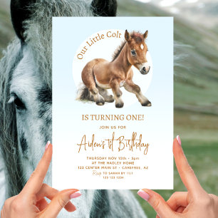 Invitation Garçons au cheval mignon 1er anniversaire