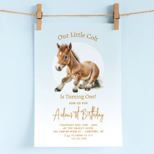 Invitation Garçons pour 1er anniversaire de cheval