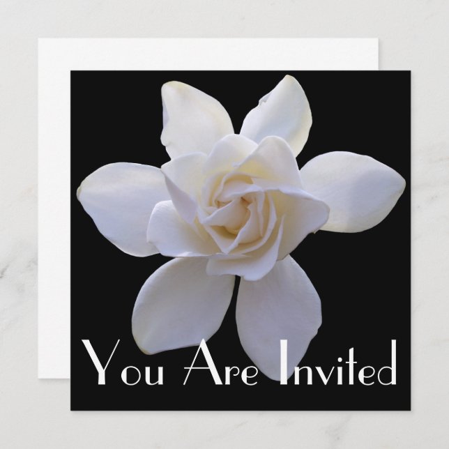 Invitation - Gardenia sur Black (Devant / Derrière)
