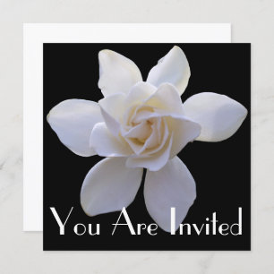 Invitation - Gardenia sur Black