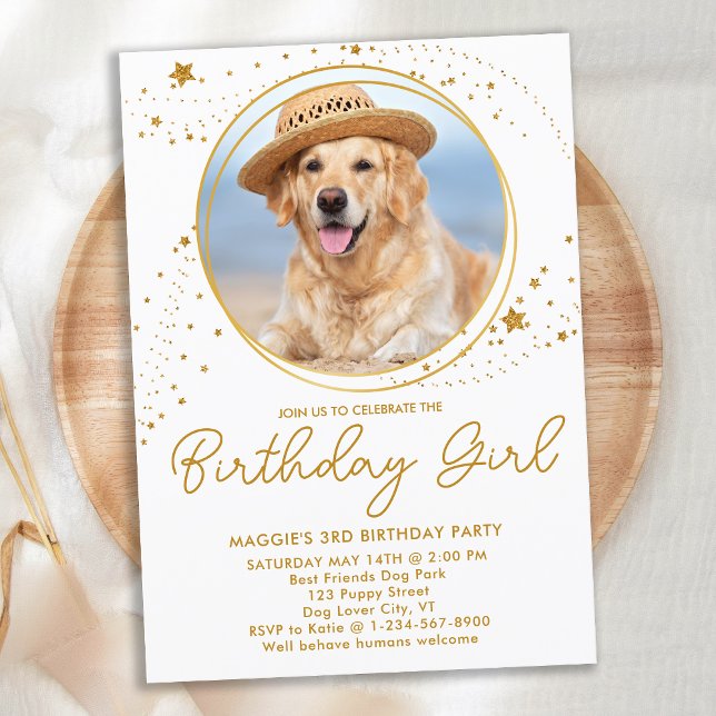 Invitation Gold Stars Personnalisé Animaux de compagnie Photo (Créateur téléchargé)