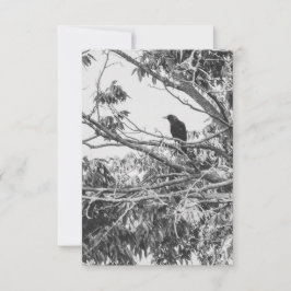 Invitation Gothic Raven Postcard