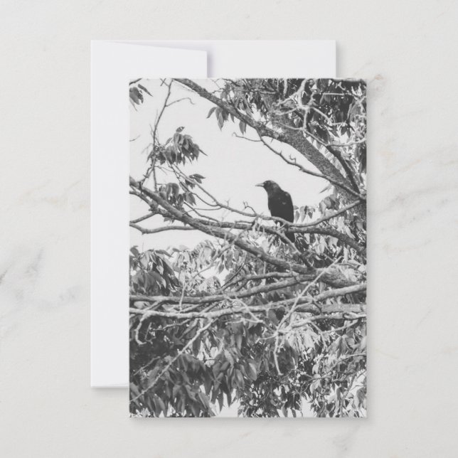 Invitation Gothic Raven Postcard (Devant)
