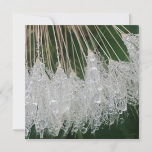 Invitation gouttelettes d'eau