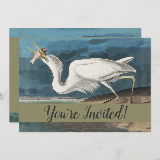 Invitation Grande Peinture de la faune d'Audubon Heron blanc (Devant / Derrière)