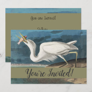 Invitation Grande Peinture de la faune d'Audubon Heron blanc