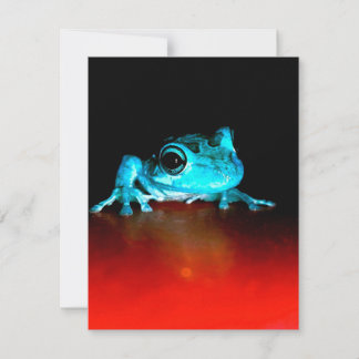 Invitation Grenouille Spidey Grenouille verte Amoureux des an
