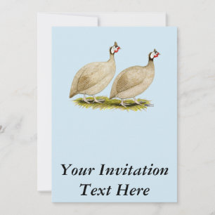 Invitation Guineas Buff Dundotte Fowl