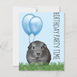 Invitation Guinée Cochon Girly Blue Balloon personnalisé Anni